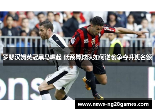 罗瑟汉姆英冠黑马崛起 低预算球队如何逆袭争夺升班名额